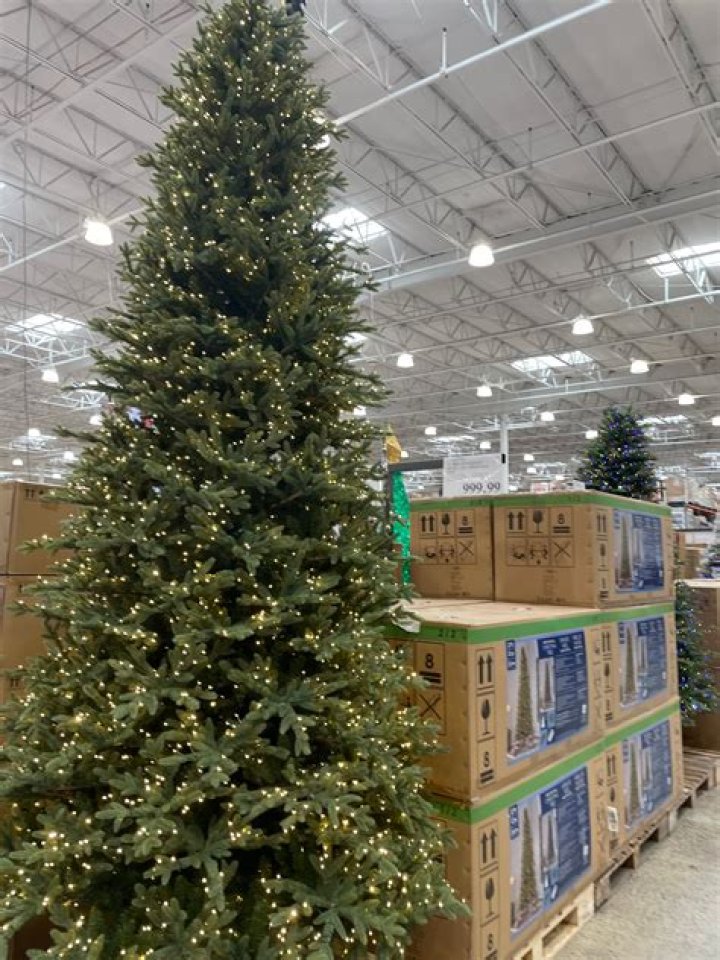 Costco Christmas Tree Prices Unveiled!