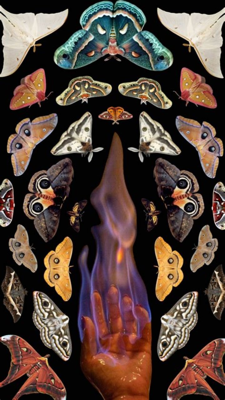 Why Are You Drawn To Danger Like A Moth To A Flame?